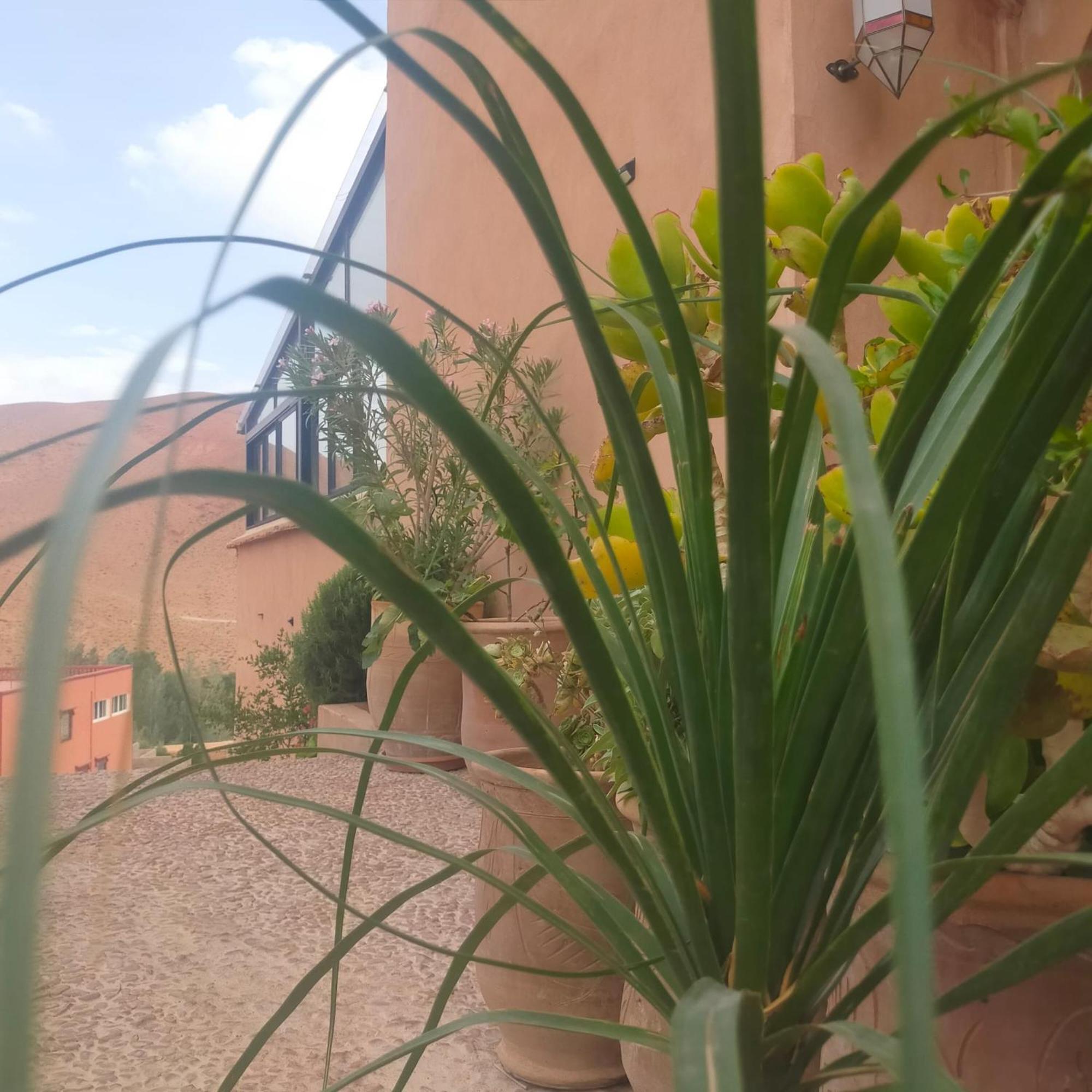 Casa de hóspedes Kasbah Flilou